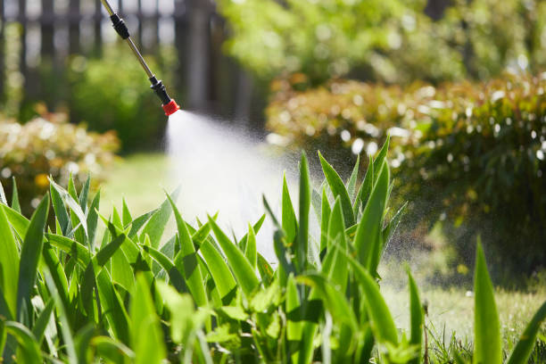 24/7 Emergency Fumigation Services experts in Pine Mountain, GA