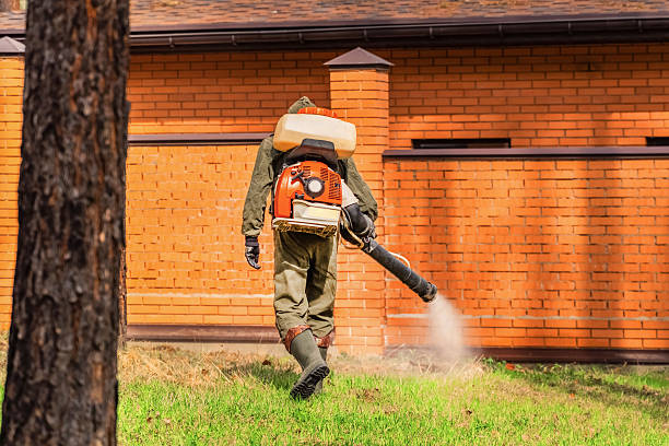 Top rated local Fumigation Services specialists in Pine Mountain, GA